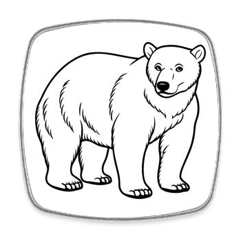 Eisbär - Viereckiger Kühlschrankmagnet - Weiß - Vorne