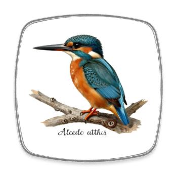 Colorful Kingfisher on Branch - Square fridge magnet - white - Front