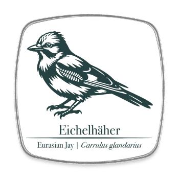 Jay Silhouette | Ornithologie | Dessin - Magnet carré - blanc - Devant