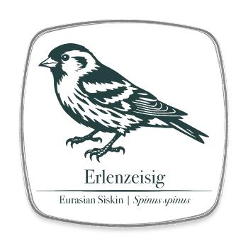 Silhouette de siskin | Ornithologie | Dessin - Magnet carré - blanc - Devant