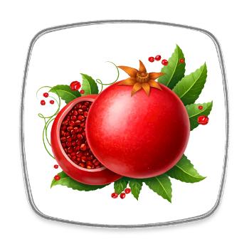 Pomegranate with leaves - Square fridge magnet - white - Front