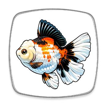 Grade Tricolor Oranda Poisson rouge de haute qualité - Magnet carré - blanc - Devant