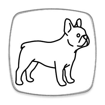 Französische Bulldogge - Viereckiger Kühlschrankmagnet - Weiß - Vorne