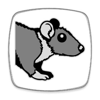 Ratte Vorderseite Halb Neugierig Lustig Nagetier - Viereckiger Kühlschrankmagnet - Weiß - Vorne