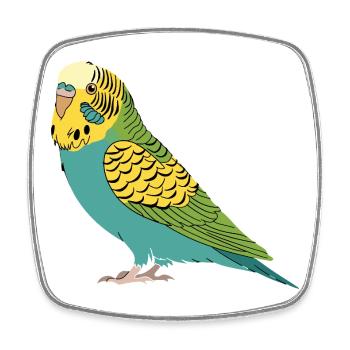 Budgie Green Yellow Turquoise Parakeet Parrot - Square fridge magnet - white - Front