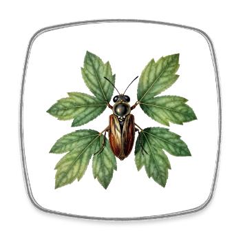Insecte coléoptère sur feuillage verdoyant - Square fridge magnet - white - Front