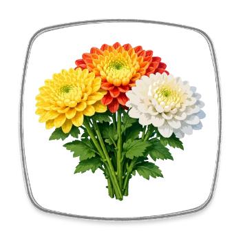 Chrysanthemum Trio Bouquet - Square fridge magnet - white - Front