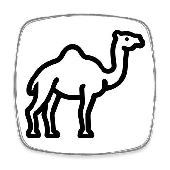 camel - Square fridge magnet - white - Front