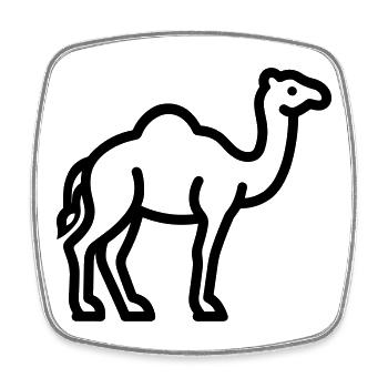 camel - Square fridge magnet - white - Front