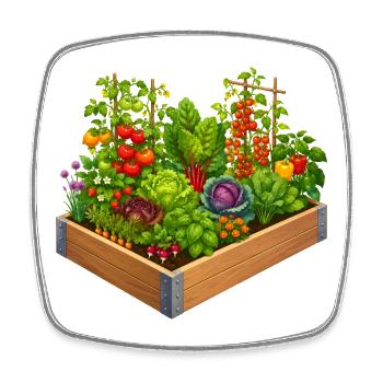Buntes Hochbeet Gemüsegarten Natur Design  - Viereckiger Kühlschrankmagnet - Weiß - Vorne