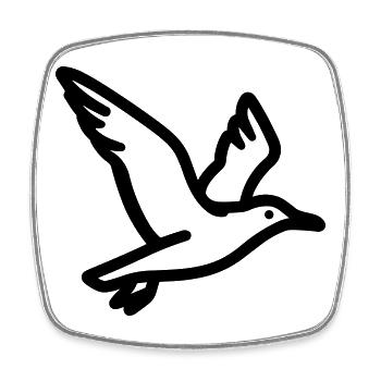 Seagull - Square fridge magnet - white - Front
