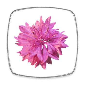 Bleuet rose - Magnet carré - blanc - Devant