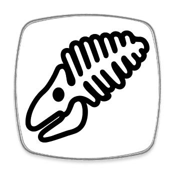 Fossil - Viereckiger Kühlschrankmagnet - Weiß - Vorne