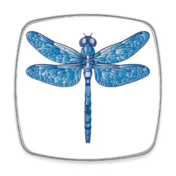 Blue dragonfly illustration in vector style - Square fridge magnet - white - Front