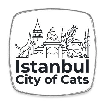 Ville des Chats d’Istanbul - Magnet carré - blanc - Devant