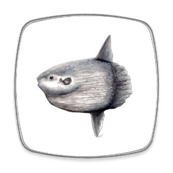 Arlequin - océan arlequin - Mola mola Poisson Lune - Magnet carré - blanc - Devant