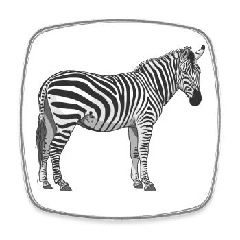 Zebra Streifen Kontrast Illustration - Viereckiger Kühlschrankmagnet - Weiß - Vorne