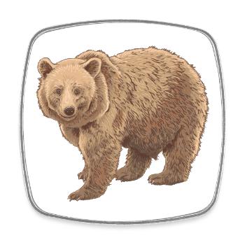Ours de Kodiak - Magnet carré - blanc - Devant