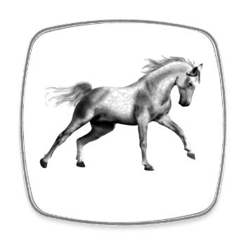 cheval - Magnet carré - blanc - Devant