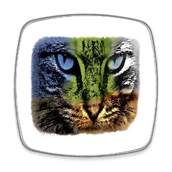 Visage de chat coloré, individualiste - Magnet carré - blanc - Devant