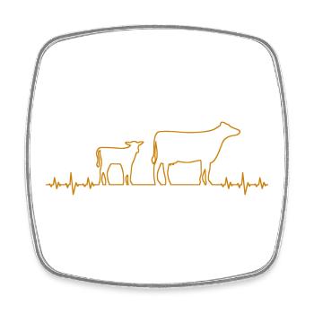 Kuh Kalb Bulle - Viereckiger Kühlschrankmagnet - Weiß - Vorne