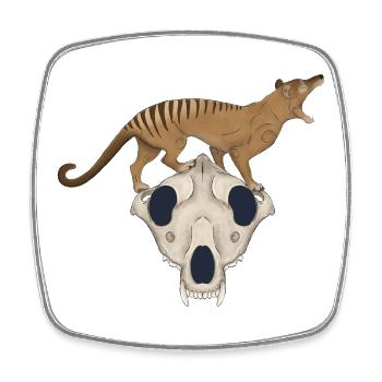 Thylacine Schädel - Tasmanischer Tiger Wolf Schädel - Viereckiger Kühlschrankmagnet - Weiß - Vorne