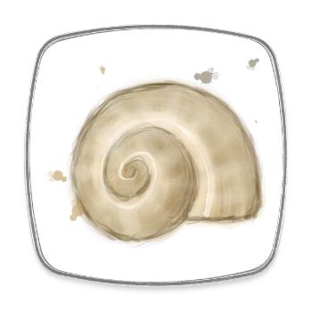 Snail Shell – Nature’s Spiral Illustration - Square fridge magnet - white - Front