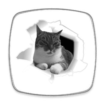 Cute cat from Loch Cat Friend - Square fridge magnet - white - Front