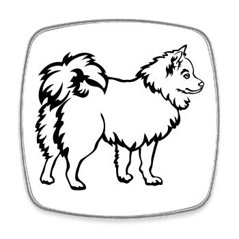 Spitz - Viereckiger Kühlschrankmagnet - Weiß - Vorne