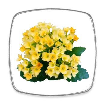 Fleurs printanières jaune doré - Magnet carré - blanc - Devant