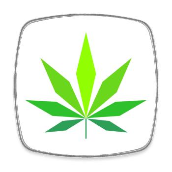 Cannabis - Viereckiger Kühlschrankmagnet - Weiß - Vorne