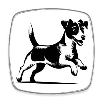 Jack Russell Terrier - Magnet carré - blanc - Devant
