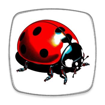 Ladybird - Square fridge magnet - white - Front