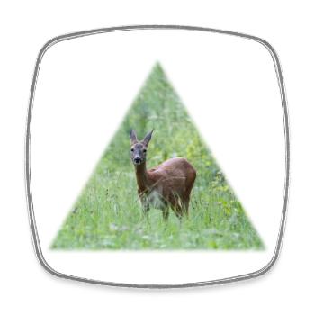 Cerf dans les hautes herbes - Magnet carré - blanc - Devant