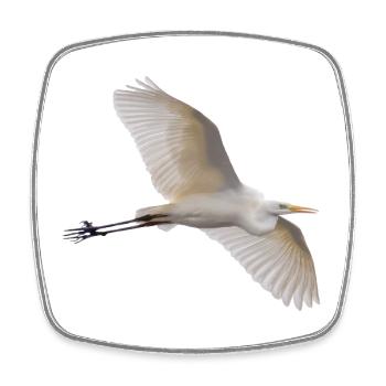 Great White Egret in Flight - Photography - Square fridge magnet - white - Front