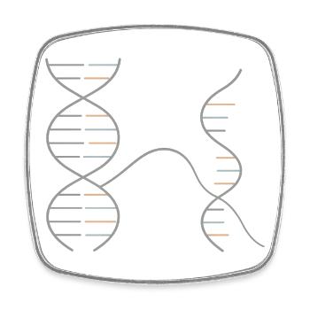 DNA–RNA Geometry – Chemistry Design - Square fridge magnet - white - Front