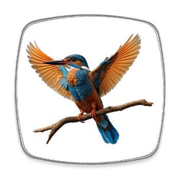 Vivid Kingfisher in Flight - Square fridge magnet - white - Front