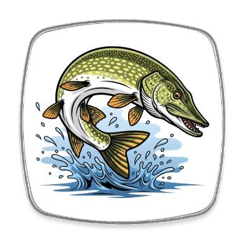 Hecht Esox Lucius Angeln - Viereckiger Kühlschrankmagnet - Weiß - Vorne
