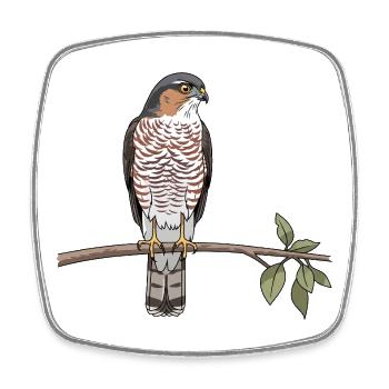 Épervier d'Europe, oiseau de proie - Magnet carré - blanc - Devant