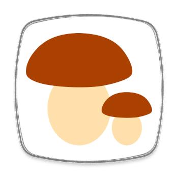 Minimalistische Pilz-Illustration - Viereckiger Kühlschrankmagnet - Weiß - Vorne