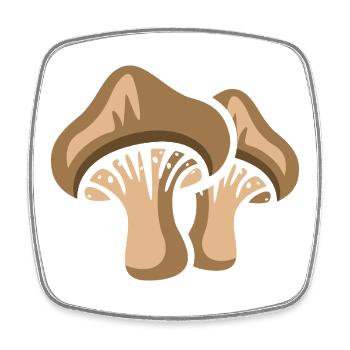 Zwei Cartoon-Pilze – Lustiges Natur & Wald Design - Viereckiger Kühlschrankmagnet - Weiß - Vorne