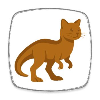 Trex Katze Dinosaurier - Viereckiger Kühlschrankmagnet - Weiß - Vorne