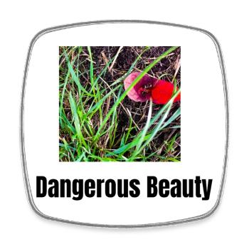 Gevaarlijke Schoonheid in Natuur Japanse Duizend - Square fridge magnet - white - Front