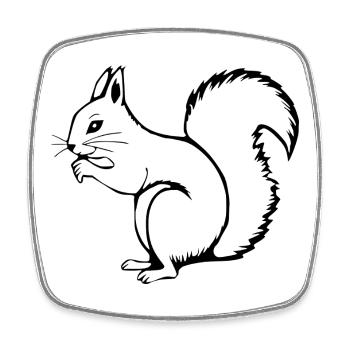 Squirrel - Square fridge magnet - white - Front