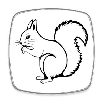 T-shirt écureuil cadeau amoureux de la nature - Magnet carré - blanc - Devant