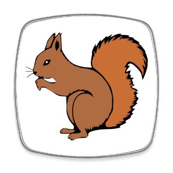 Squirrel T-shirt Gift Nature Lover - Square fridge magnet - white - Front