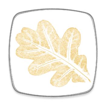 Blatt - Eiche / Botanik & Natur  - Viereckiger Kühlschrankmagnet - Weiß - Vorne