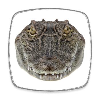 Portrait détaillé de crocodile : Design de la faune - Magnet carré - blanc - Devant