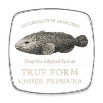 Blobfish True Form Under Pressure – Psychrolutes - Square fridge magnet - white - Front