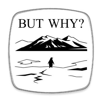 But Why Penguin Meme Minimalist Art - Viereckiger Kühlschrankmagnet - Weiß - Vorne